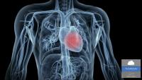 Commotio Cordis Cardiac Arrest