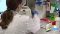 Following a Lab Sample from Collection to Diagnosis