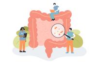 Gut Health Myths: What's True, False, or In Between?