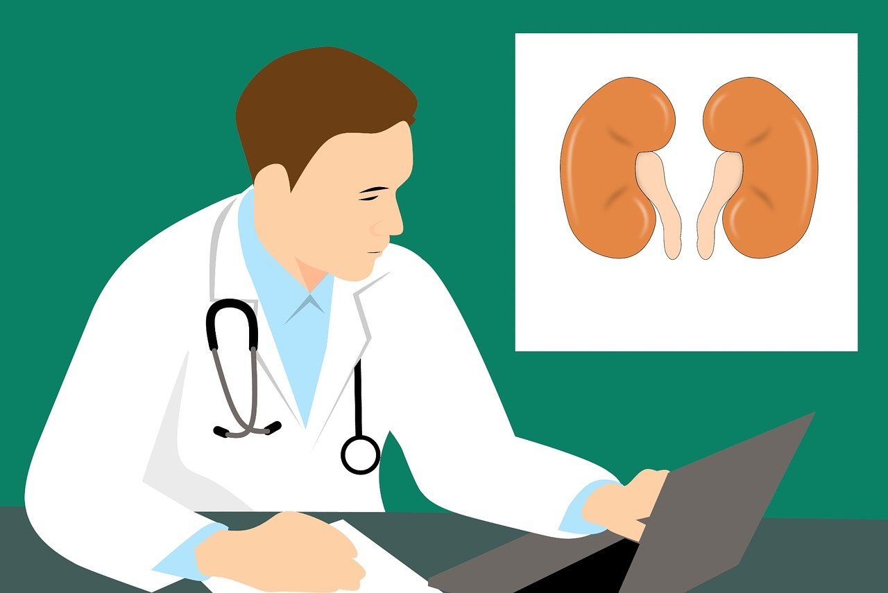 national kidney month arnot health cartoon doctor at laptop with kidney diagram in background
